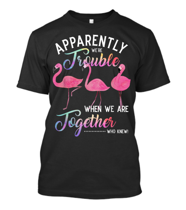 Apparently We're Trouble When We Are Together Flamingos Who Knew T-Shirt