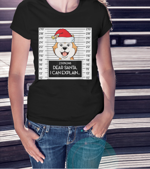 Cute Akita Mugshot Santa Hat Dear Santa I Can Explain T-Shirt