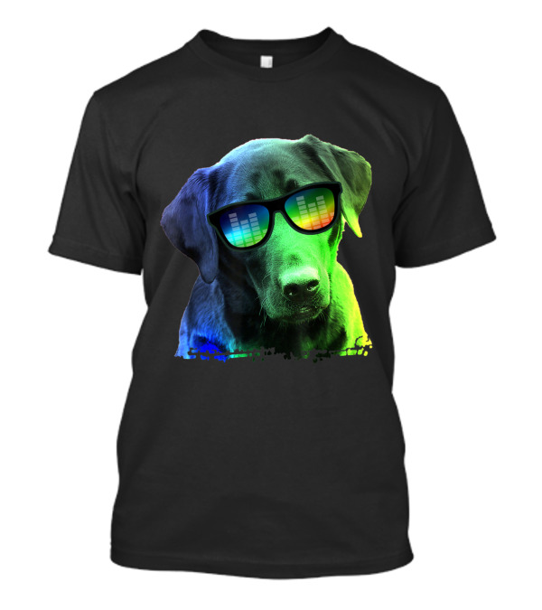 Colorful Labrador With Rainbow Sunglasses And Equalizer Reflection T-Shirt