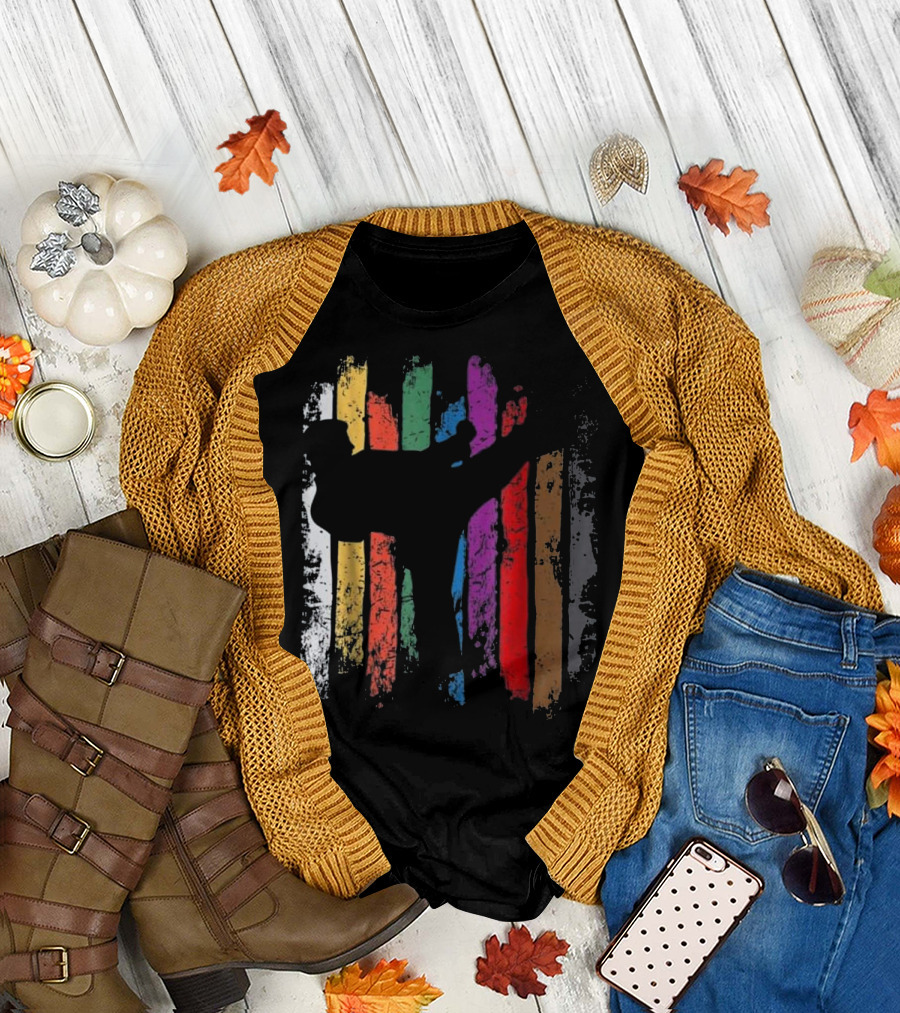 Karate Belt Colors Silhouette Kick with Rainbow Stripes T-Shirt
