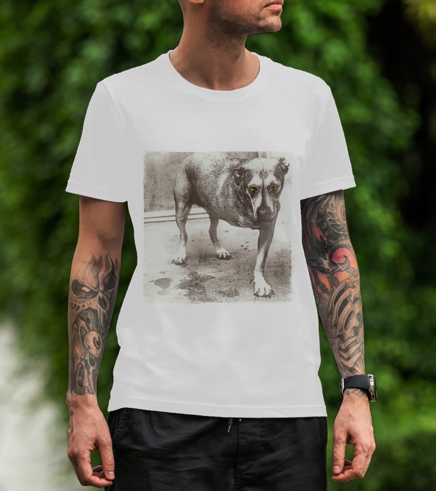Dog With Yellow Eyes Aic T-Shirt