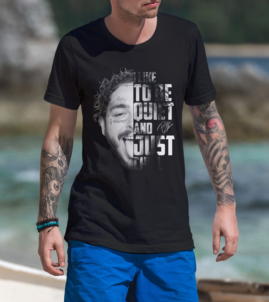I Like To Be Quiet And Just Chill T-Shirt