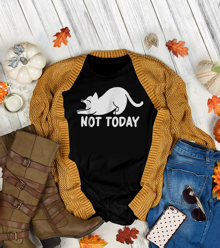 Lazy Cat Not Today Cat Lovers Cat Lady Cat T-Shirt