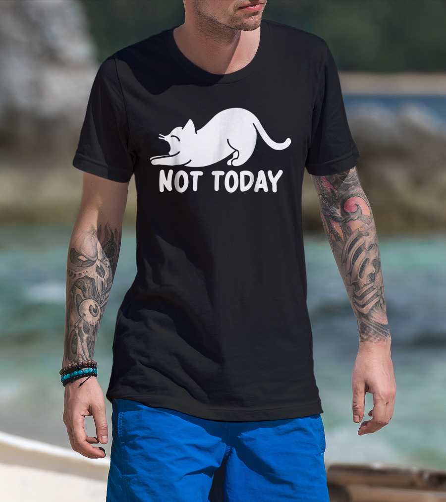 Lazy Cat Not Today Cat Lovers Cat Lady Cat T-Shirt