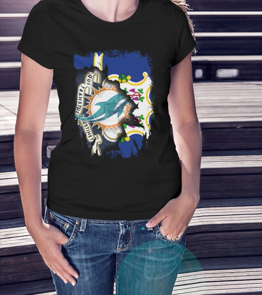 Connecticut State Flag Merged With Miami Dolphins T-Shirt