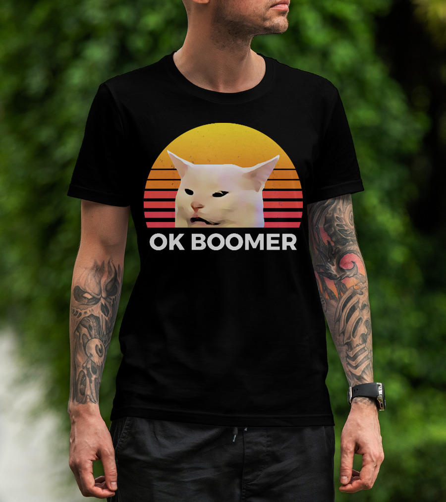Cat Ok Boomer Retro Sunset T-Shirt