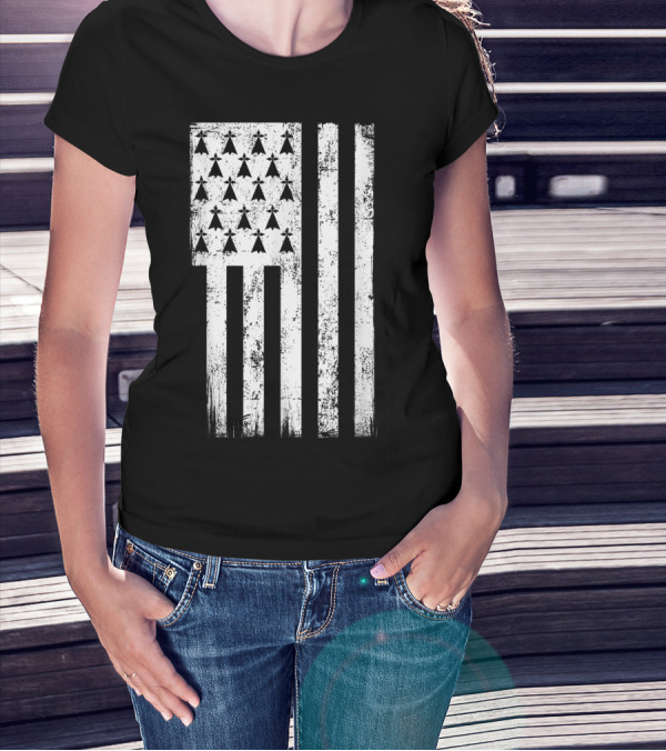 Bretagne Flag Distressed Bretagne Region Of France T-Shirt