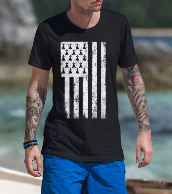 Bretagne Flag Distressed Bretagne Region Of France T-Shirt