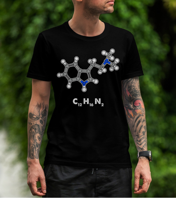 DMT Molecule C12H16N2 Hallucinogenic Structure T-Shirt