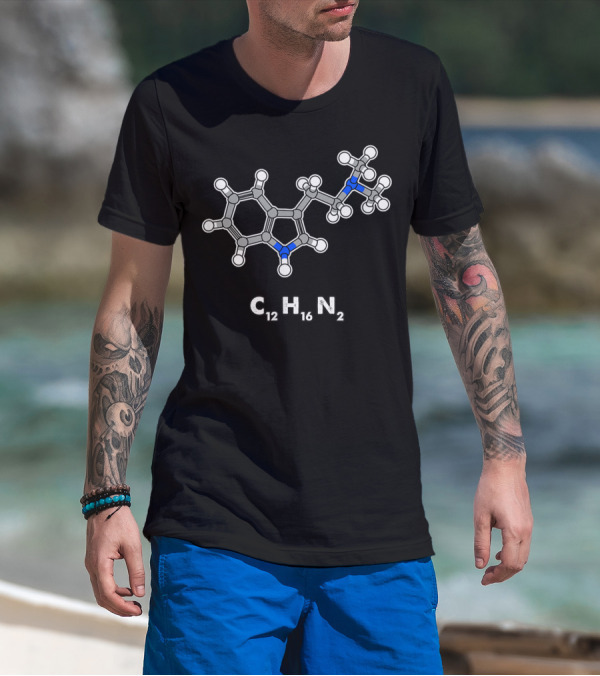 DMT Molecule C12H16N2 Hallucinogenic Structure T-Shirt