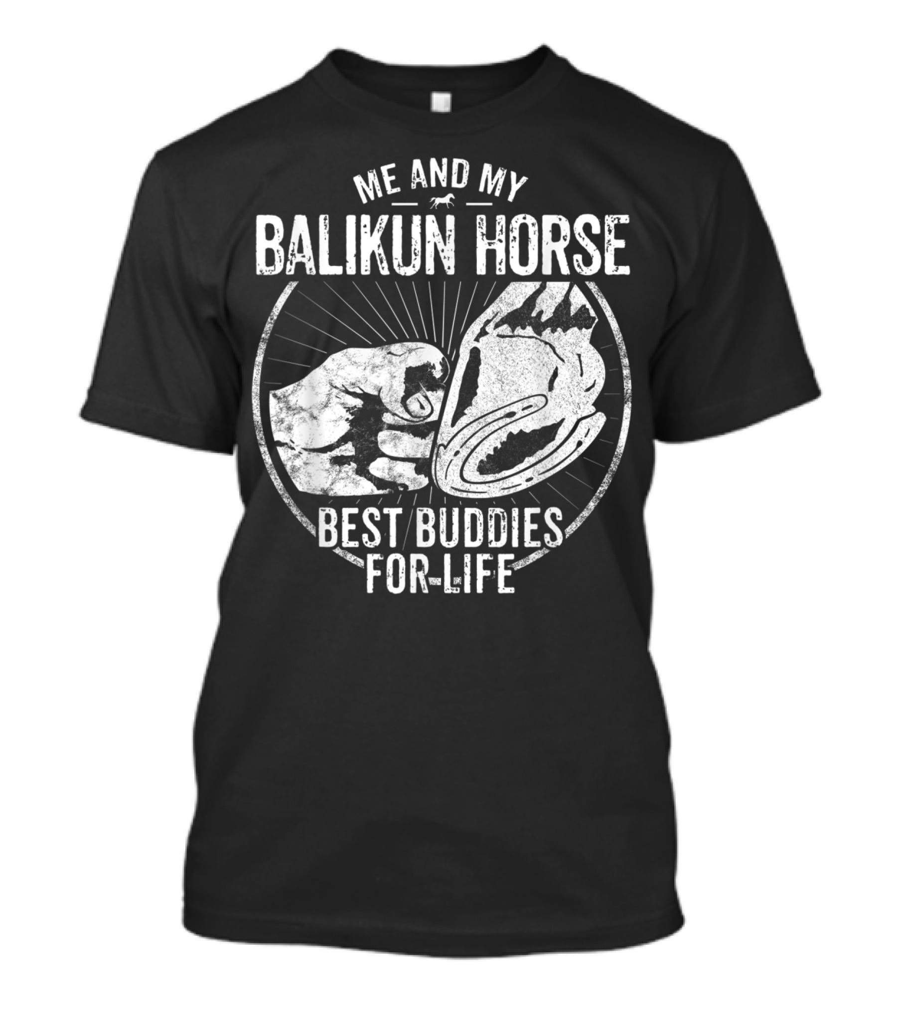 Me And My Balikun Horse Best Buddies For Life T-Shirt