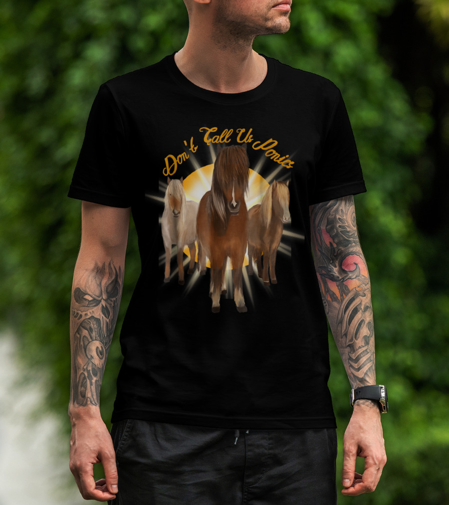Don't Call Us Ponies Funny Cute Miniature Horse Trio Sunburst T-Shirt