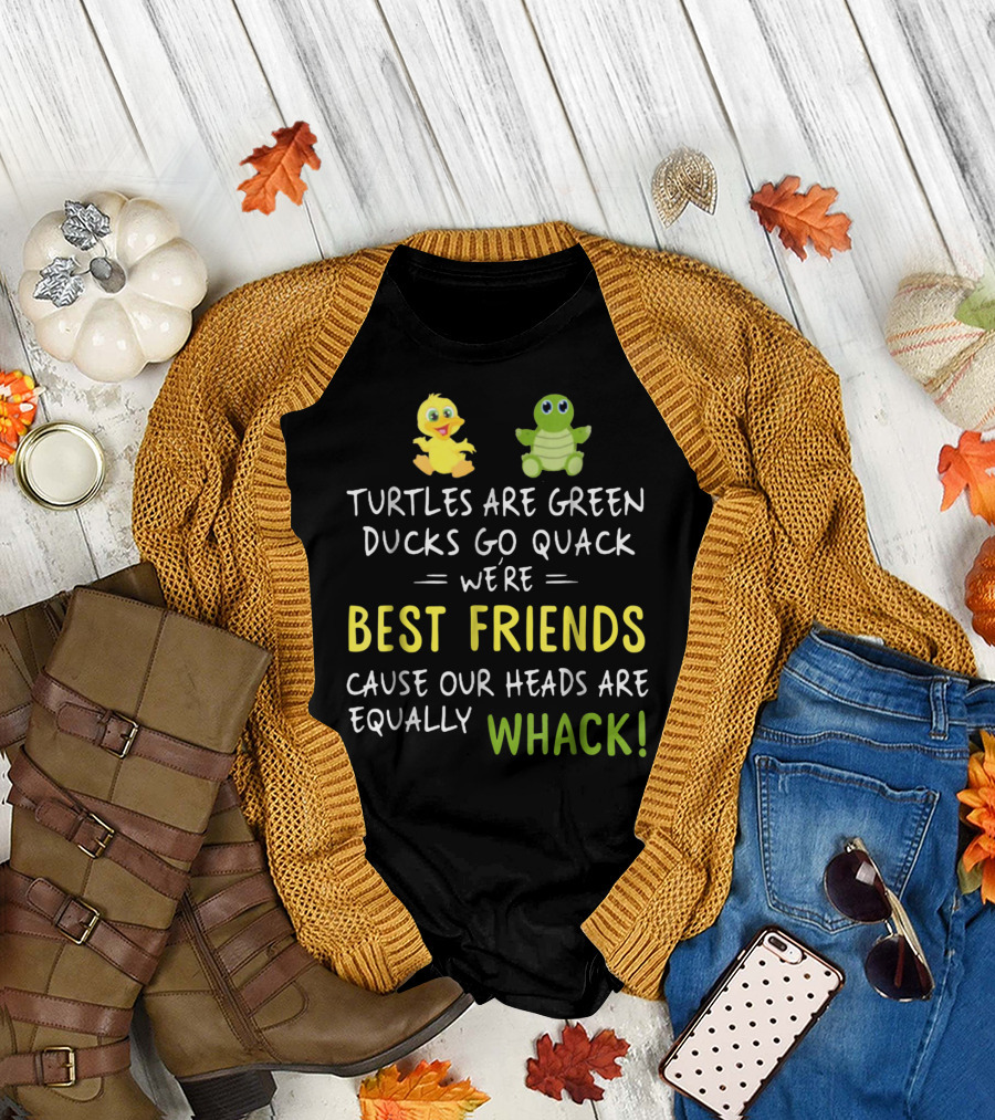 Turtles Are Green Ducks Go Quack We're Best Friends Cause Our Heads Are Equally Whack T-Shirt