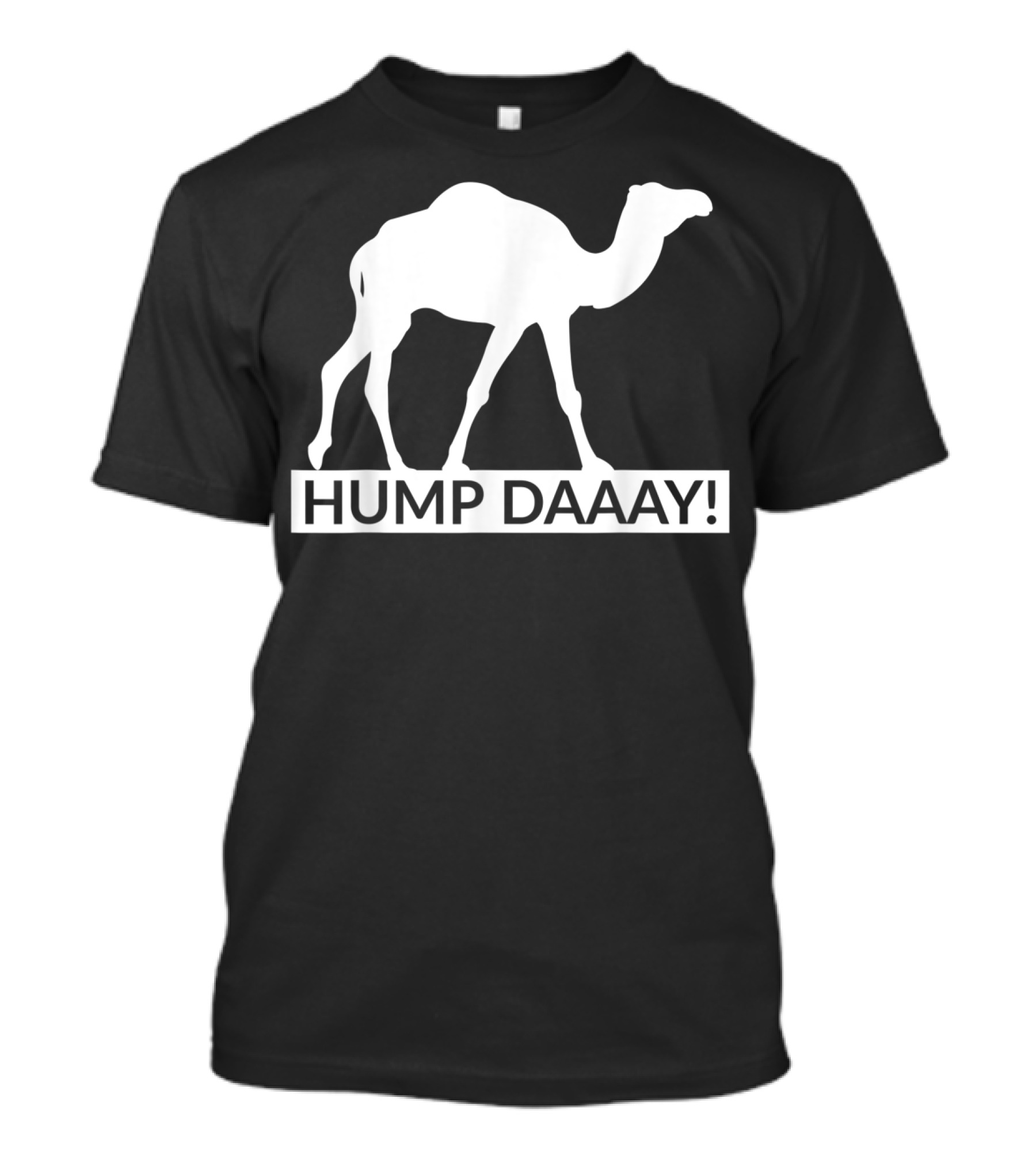 Hump Daaay Funny Camel Guess What Day It Is Hump Day T-Shirt