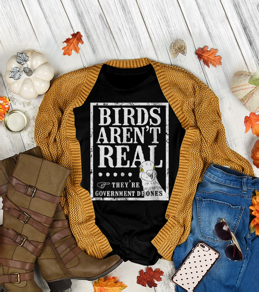 BIRDS AREN'T REAL THEY'RE GOVERNMENT DRONES MEME T-Shirt