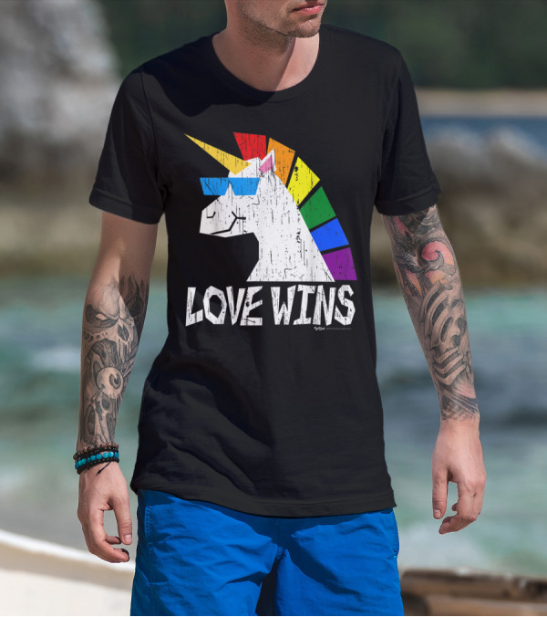 Love Wins Totally Straight Rainbow Unicorn Vintage Gay T-Shirt
