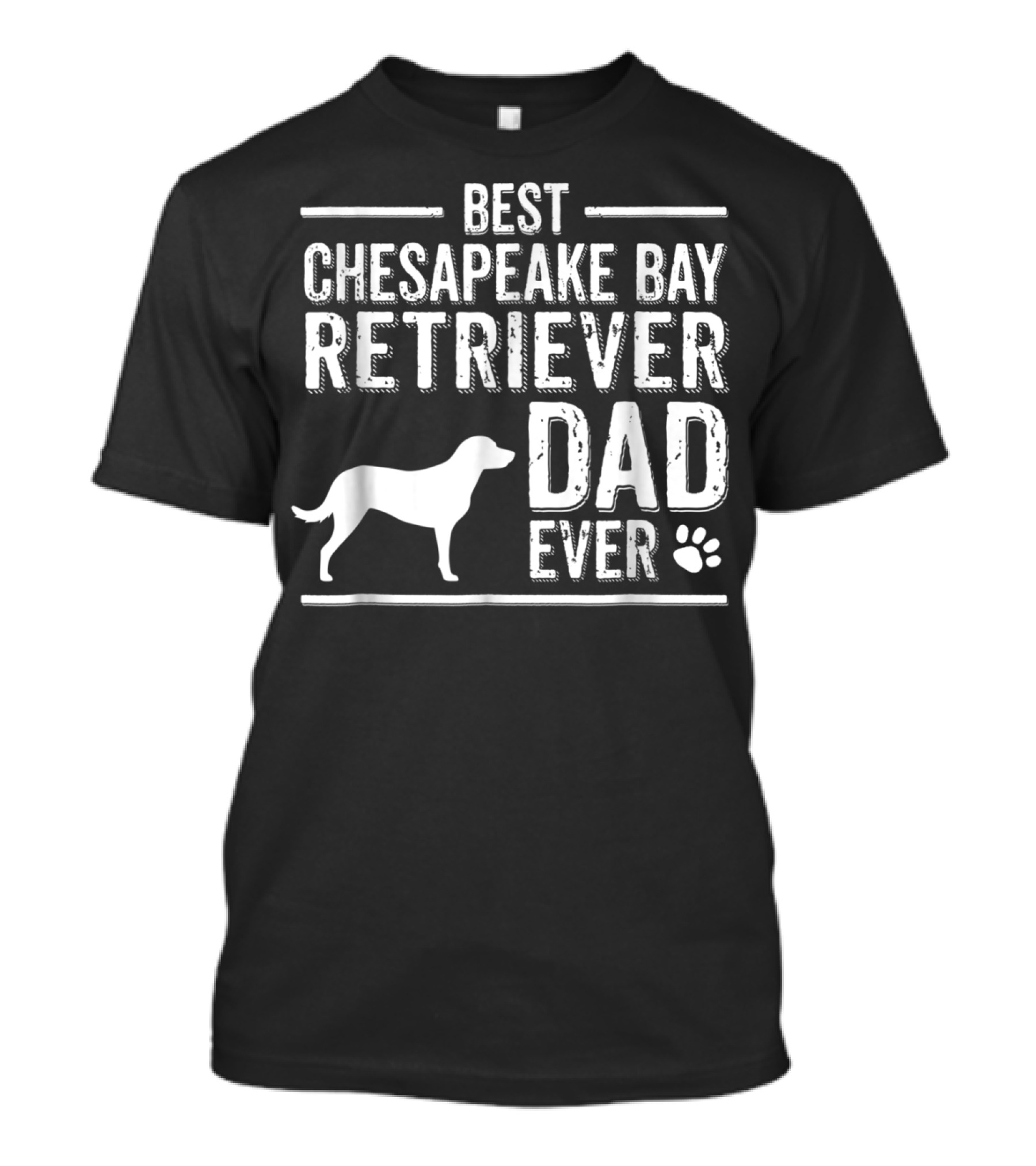 Best Chesapeake Bay Retriever Dad Ever T-Shirt