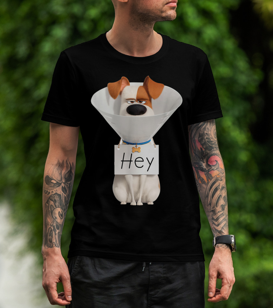 Hey Max Dog Cone Humor T-Shirt