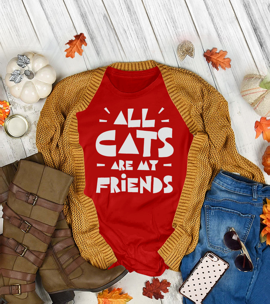 All Cats Are My Friends Cat Lover T-Shirt