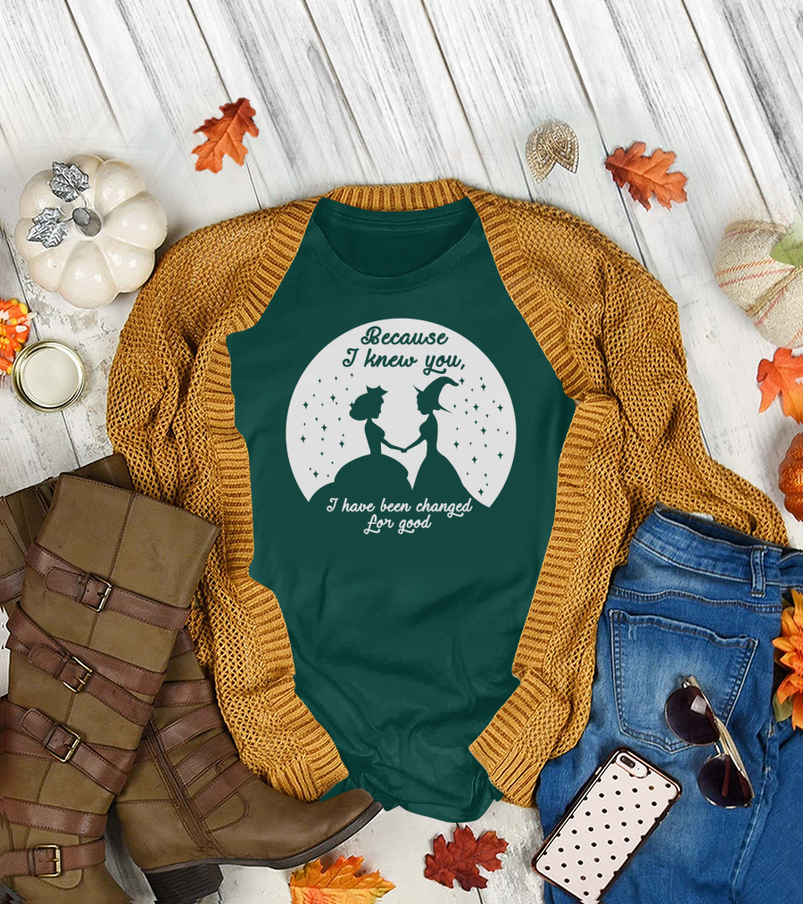 Because I Knew You I Have Been Changed For Good Silhouettes Stars T-Shirt