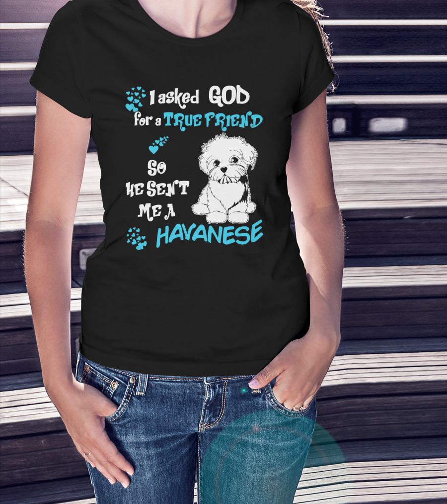 I Asked God For A True Friend So He Sent Me A Havanese T-Shirt