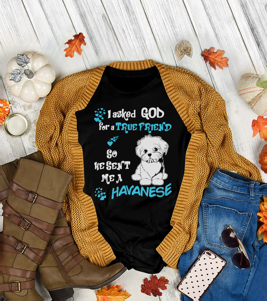 I Asked God for a True Friend So He Sent Me a Havanese T-Shirt