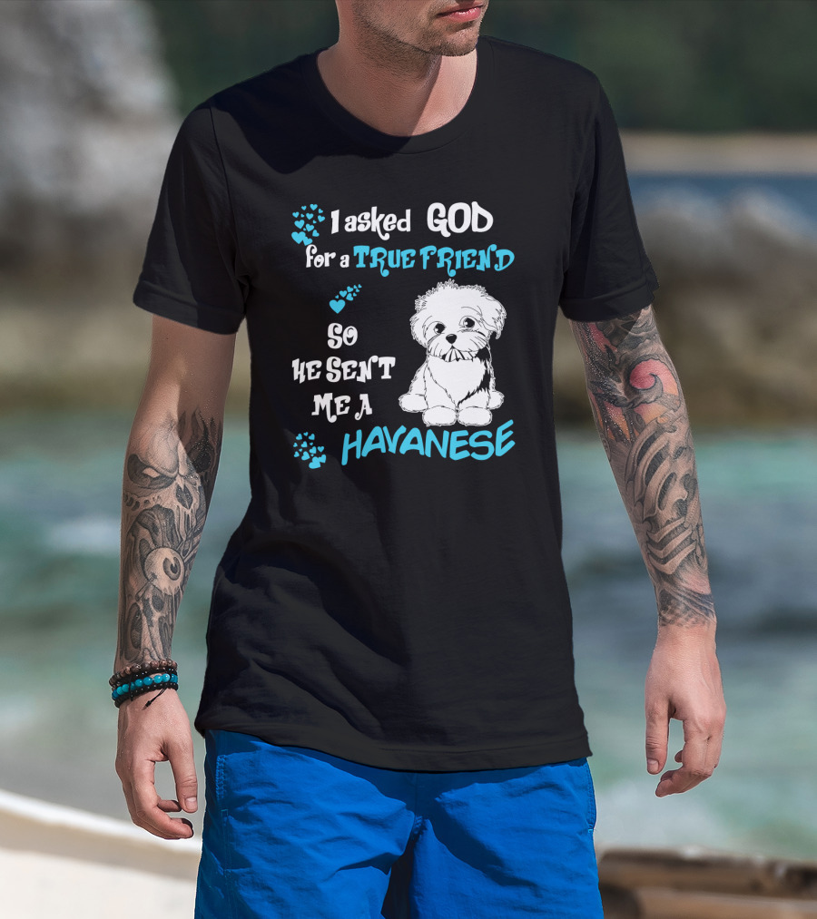 I Asked God For A True Friend So He Sent Me A Havanese T-Shirt
