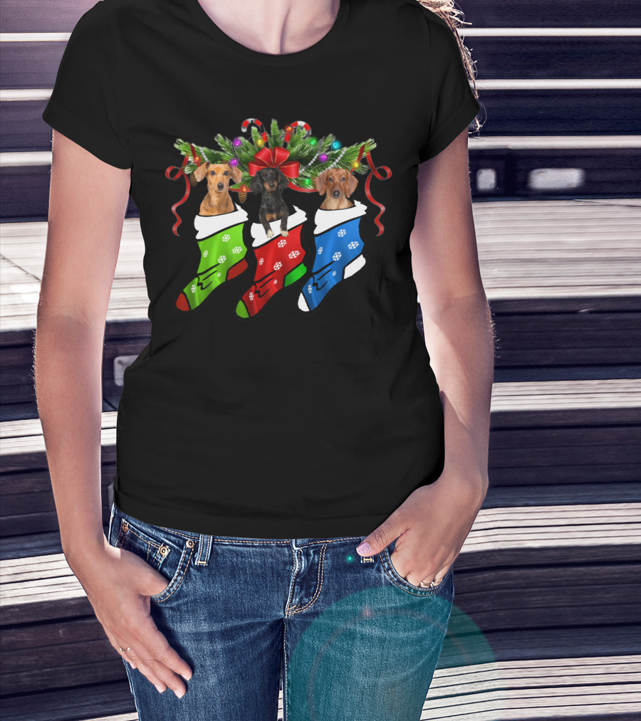 Funny Three Dachshund In Christmas Stocking Socks T-Shirt