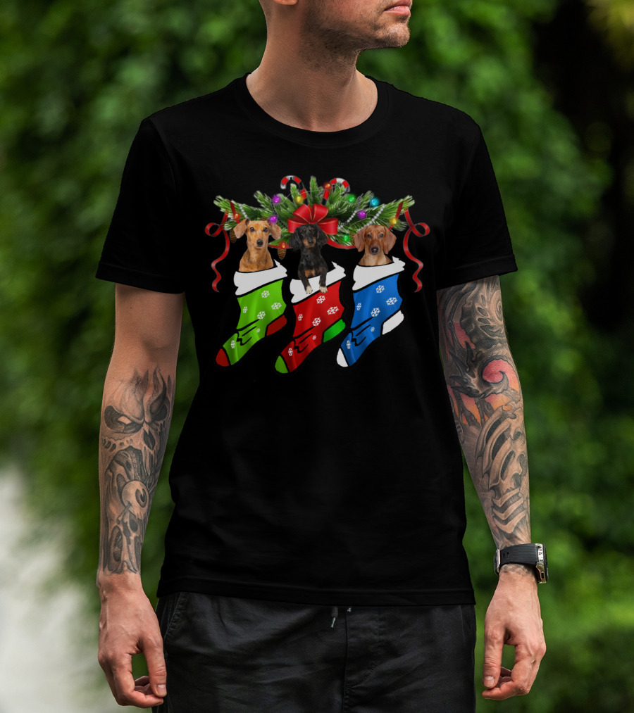 Funny Three Dachshund In Christmas Stocking Socks T-Shirt