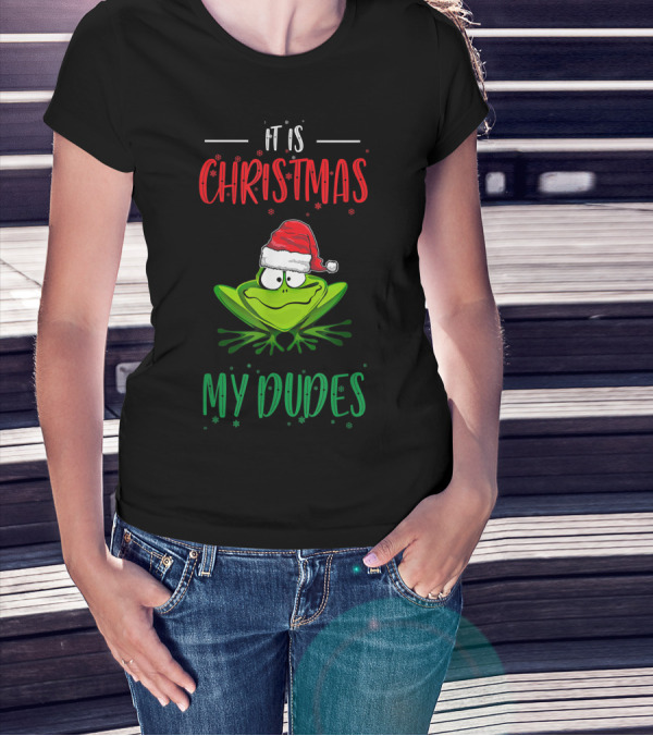 It Is Christmas My Dudes Funny Frog With Santa Hat T-Shirt