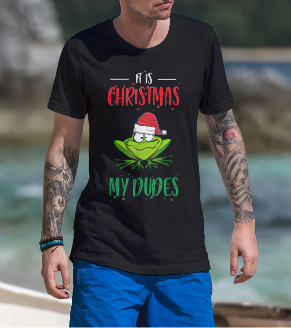 It Is Christmas My Dudes Funny Frog With Santa Hat T-Shirt