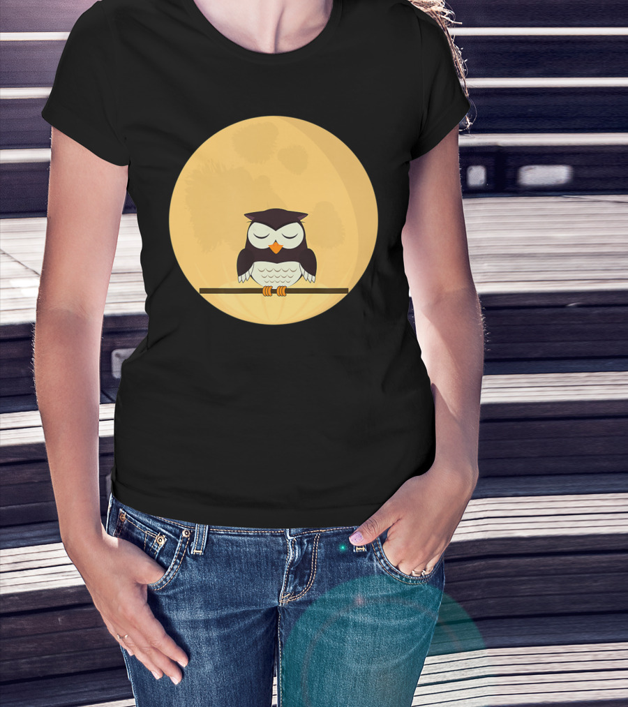 An Owl And The Full Moon Night Sky T-Shirt