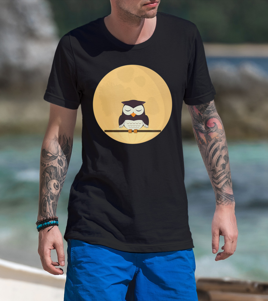 An Owl And The Full Moon Night Sky T-Shirt