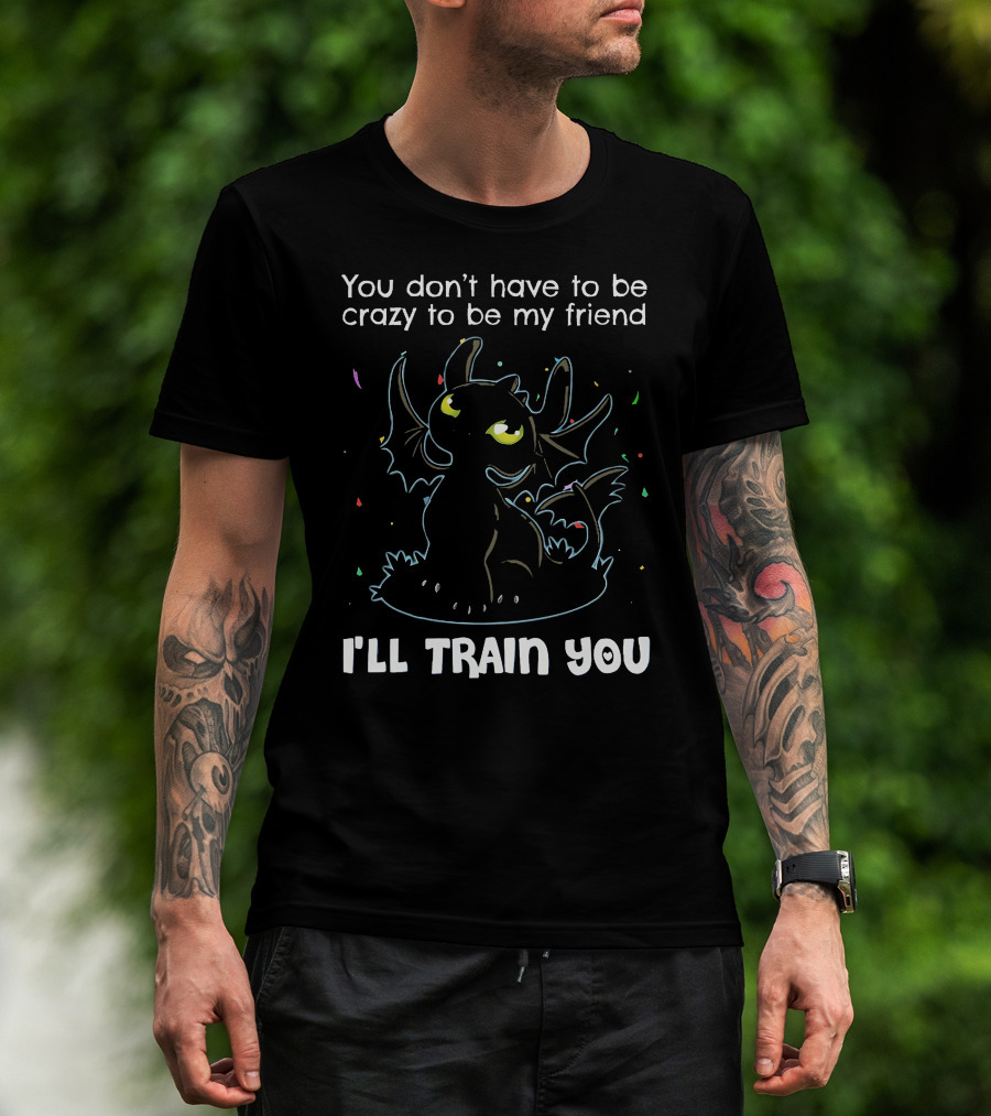 You Don't Have To Be Crazy To Be My Friend Toothless I'll Train You T-Shirt