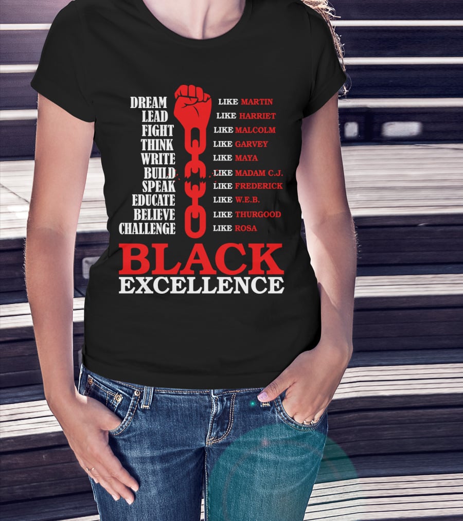 Dream Lead Fight Think Black Excellence Like Martin Like Rosa T-Shirt