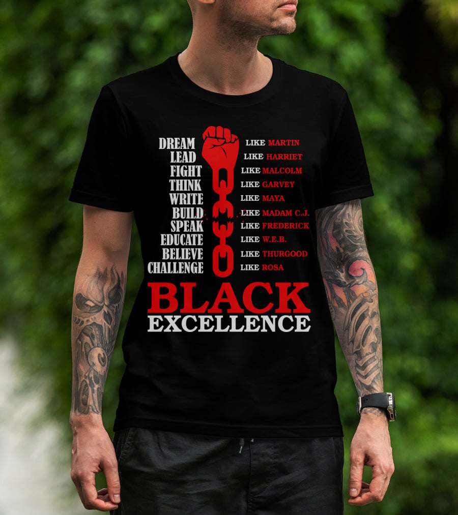 Dream Lead Fight Think Black Excellence Like Martin Like Rosa T-Shirt