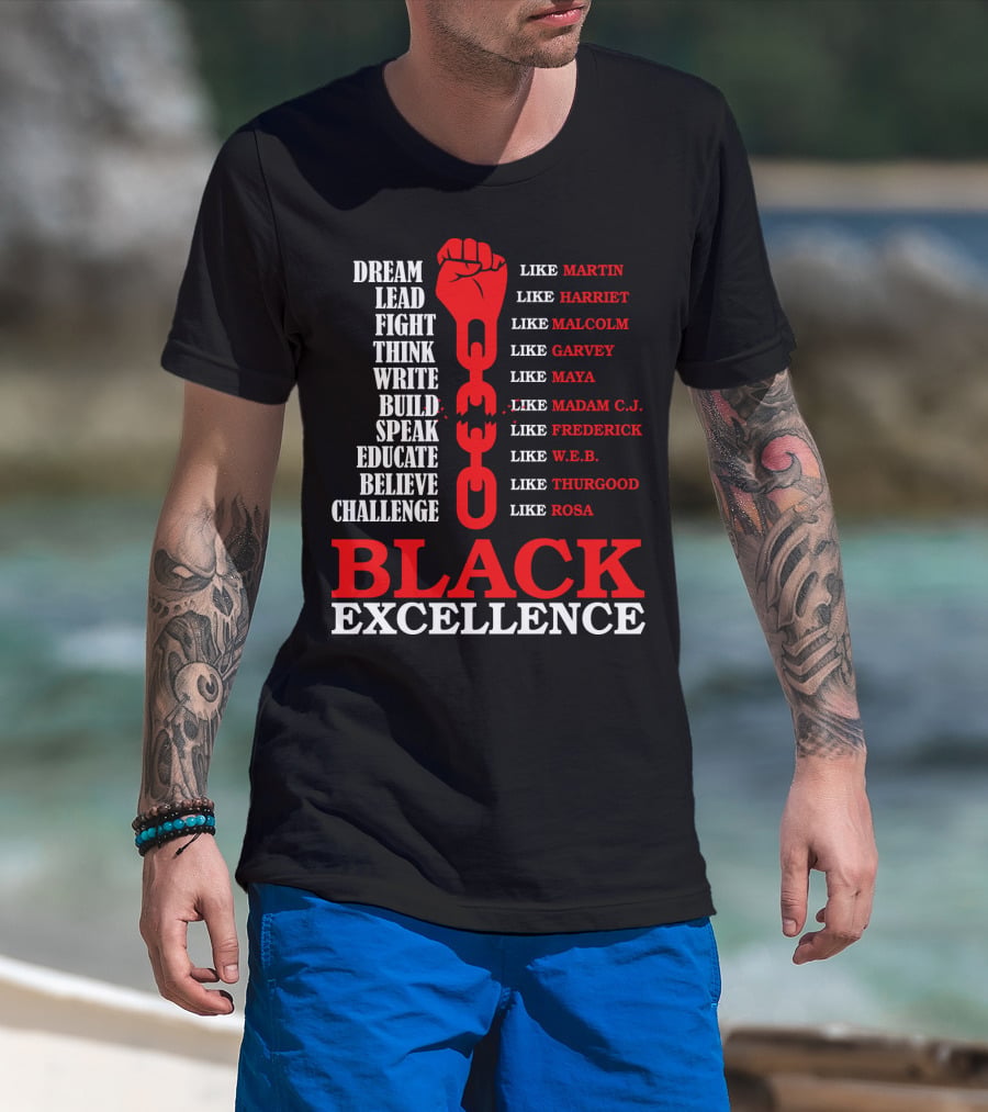 Dream Lead Fight Think Black Excellence Like Martin Like Rosa T-Shirt