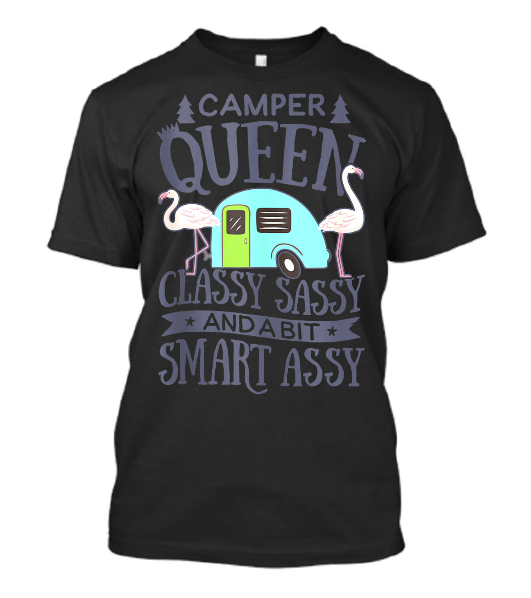 Camper Queen Classy Sassy And A Bit Smart Assy Flamingo Camping T-Shirt