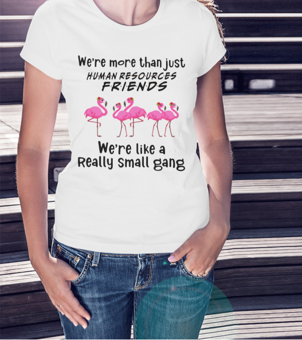 We're More Than Just Human Resources Friends We're Like A Really Small Gang With Flamingos T-Shirt