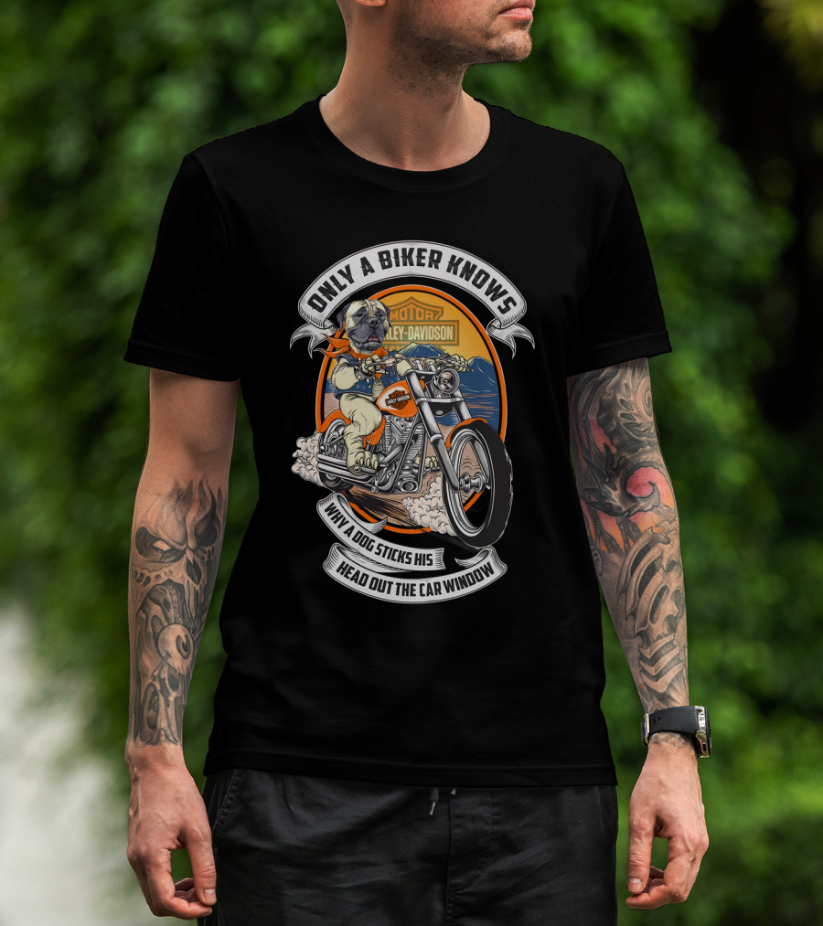Only A Biker Knows Why A Dog Sticks His Head Out The Car Window Harley Davidson Bullmastiff T-Shirt