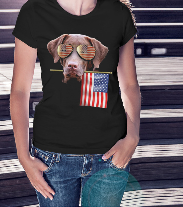 Pitbull Dog With American Flag Sunglasses And Flag T-Shirt