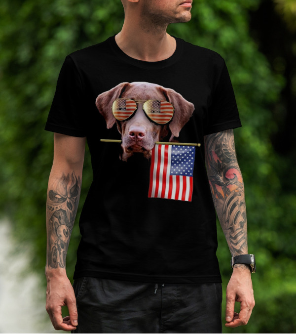 Pitbull Dog With American Flag Sunglasses And Flag T-Shirt