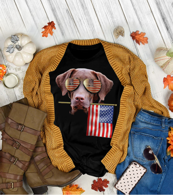Pitbull Dog With American Flag Sunglasses And Flag T-Shirt