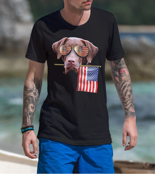 Pitbull Dog With American Flag Sunglasses And Flag T-Shirt