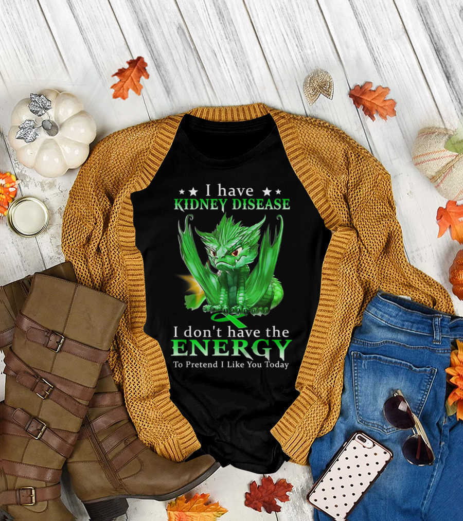I Have Kidney Disease I Don't Have The Energy To Pretend I Like You Today Dragon T-Shirt