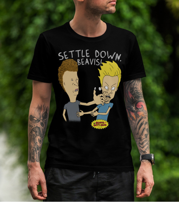 Settle Down Beavis Beavis And Butthead T-Shirt