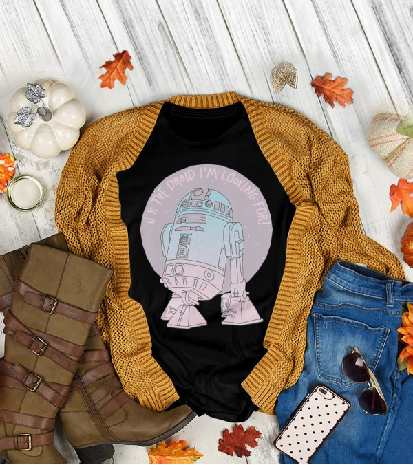 Star Wars R2 D2 U R The Droid I'm Looking For Valentines Day T-Shirt