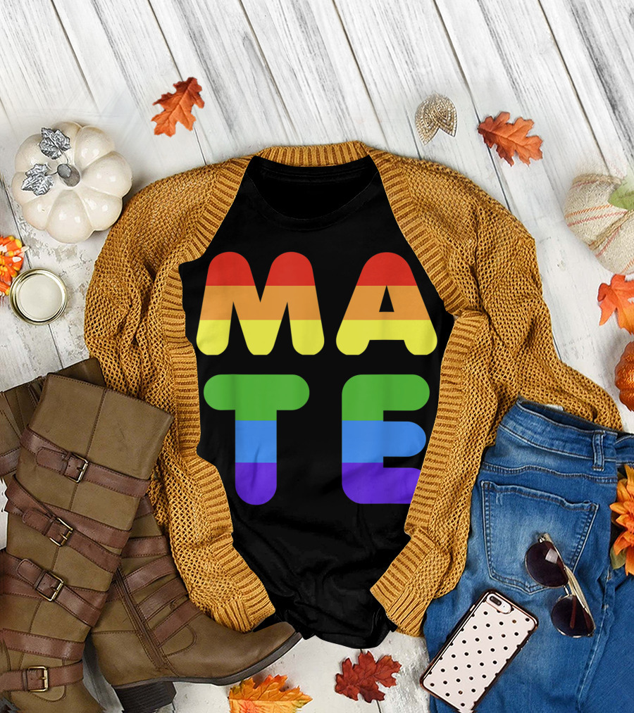 Soulmate Cute Rainbow Mate Matching Valentines Day Outfit For Gay Couple T-Shirt