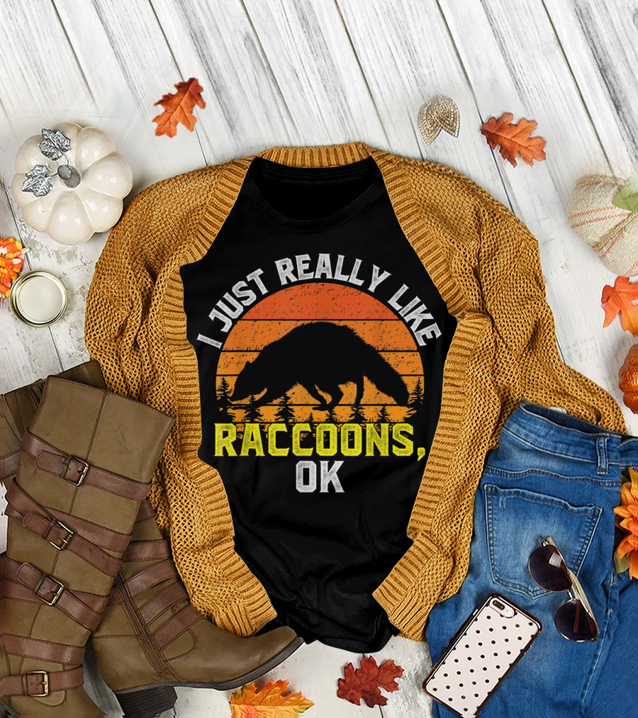 I Just Really Like Raccoons Ok Sunset T-Shirt