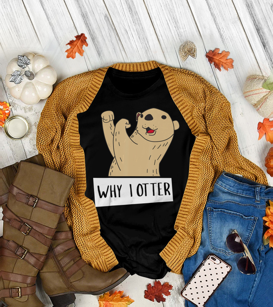 Why I Otter Funny Fighting Otter Pun Boxing Champion T-Shirt